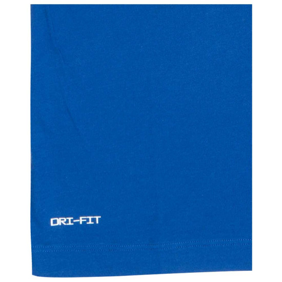 Nike Ανδρική κοντομάνικη μπλούζα Team Greece Olympics 24 Tee